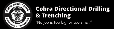 Cobra Directional Drill